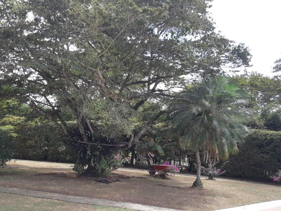 Finca Paraiso Calima Luaran gambar
