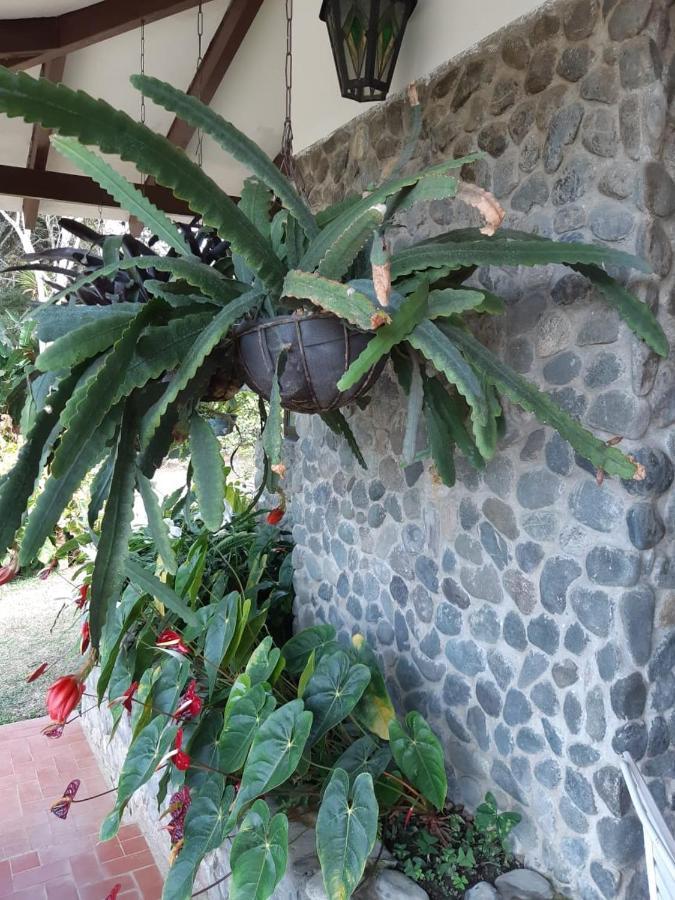 Finca Paraiso Calima Luaran gambar